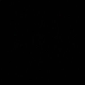 Meet your Posher, Diamond